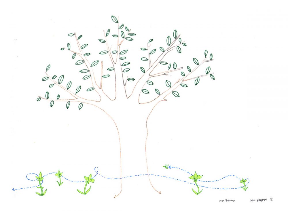 Tree and rhizome illustration